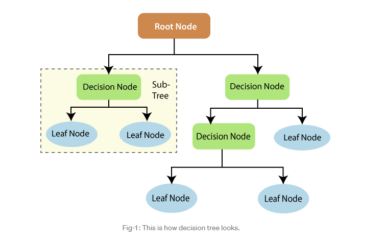 Decision Tree Model